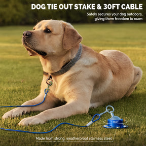 Dog Tie Out Cable and Stake – 30ft Tangle-Free Leash with Stainless Steel Clips – Perfect for Yard and Camping